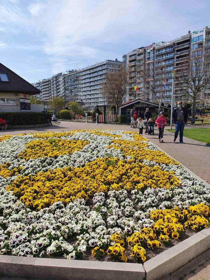 Sun And Fun Apartment Blankenberge Ngoại thất bức ảnh